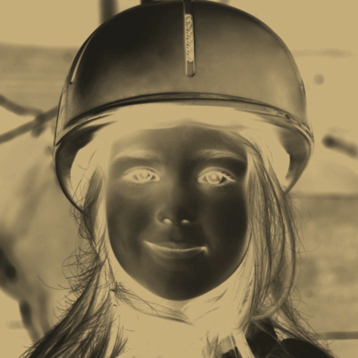 25525771.jpg