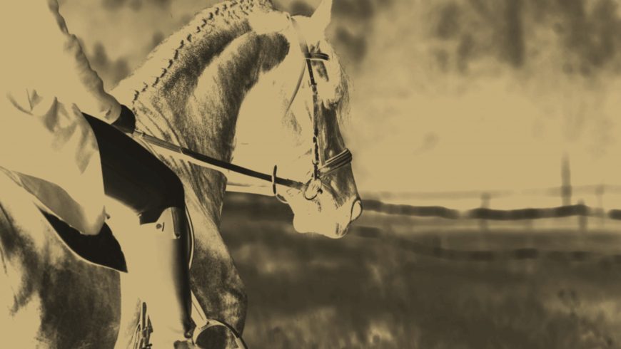 When Horses Have Trouble Getting Along