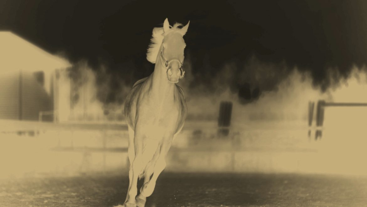 Designing Jumps to Prevent Horse Accidents