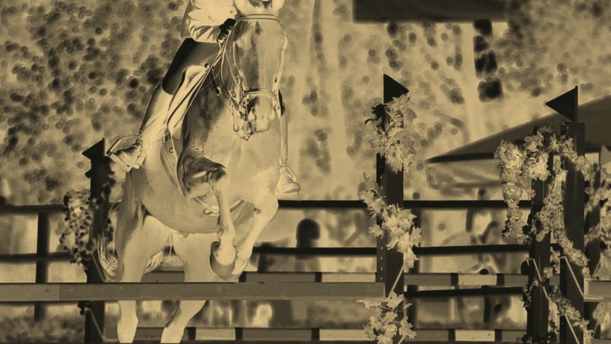 Friendly Horses Are Born That Way