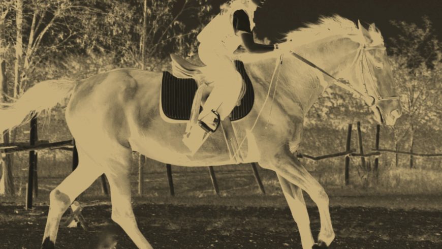 Winning Colors in Horse Racing