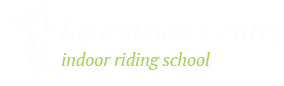 logo_h5.png